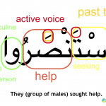 Arabic Morphology