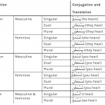 conjugating the present tense verb in Arabic