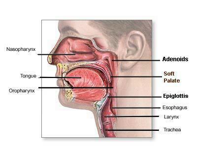 how to pronounce 'ayn