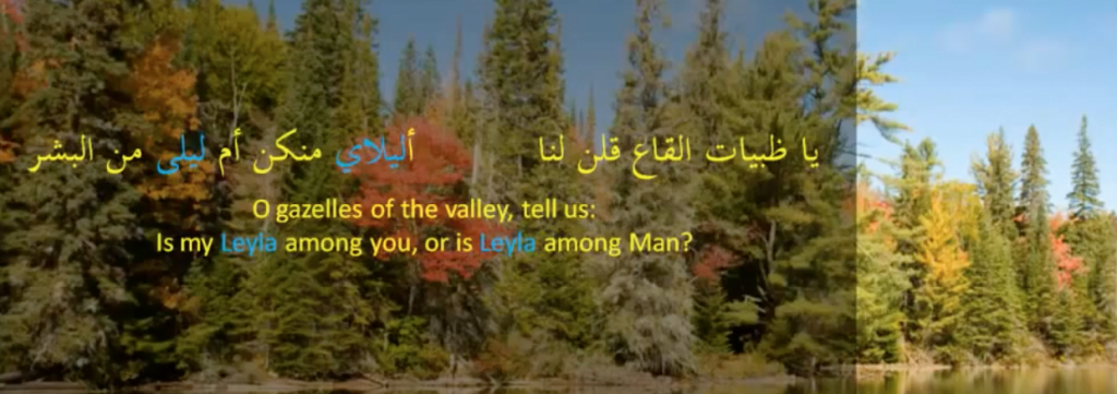 Arabic poetry example for using the name out of love