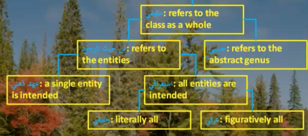 laam of jins in Arabic grammar